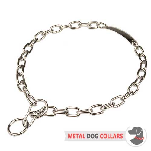 Chrome Plated Choke Dog Collar